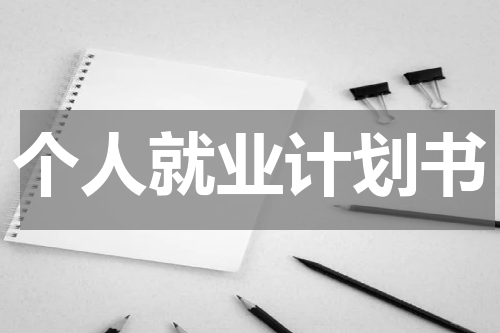 个人就业计划书