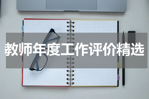 教师年度工作评价精选
