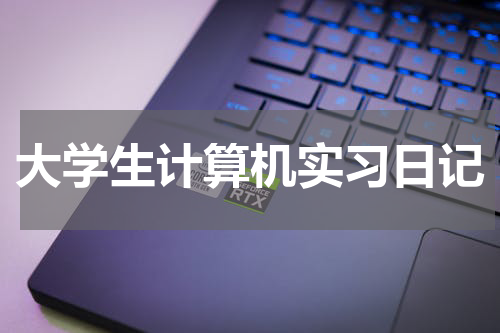 大学生计算机实习日记