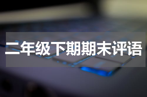 二年级下期期末评语