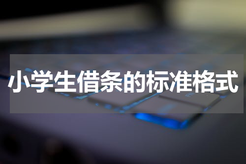 小学生借条的标准格式