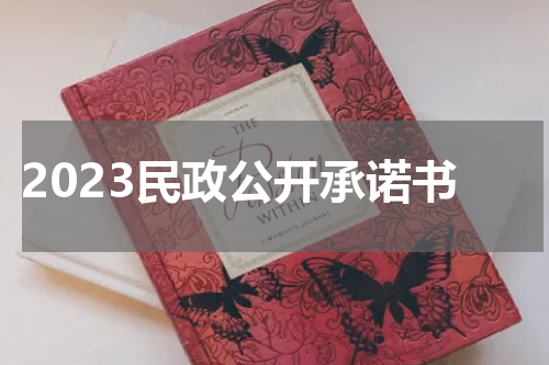 2023民政公开承诺书
