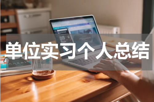 单位实习个人总结