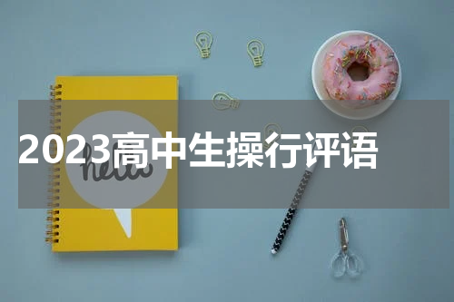 2023高中生操行评语