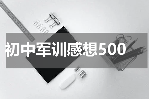 初中军训感想500
