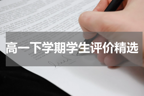高一下学期学生评价精选