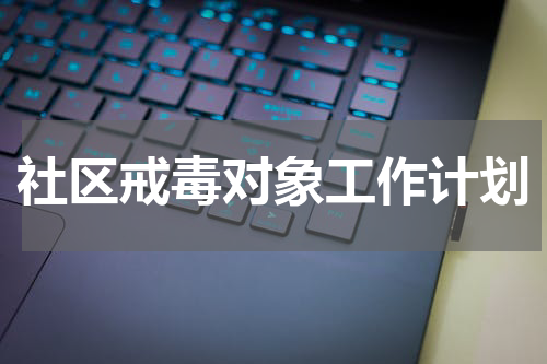社区戒毒对象工作计划