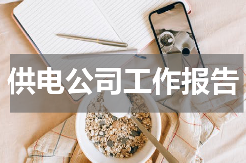 供电公司工作报告