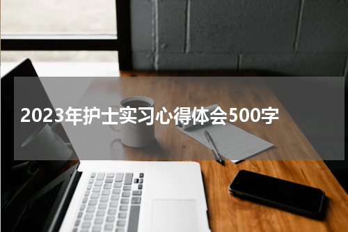 2023年护士实习心得体会500字