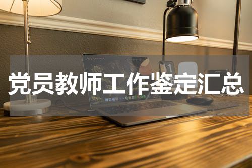 党员教师工作鉴定汇总