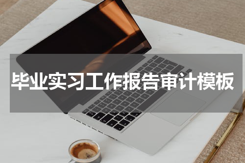 毕业实习工作报告审计模板