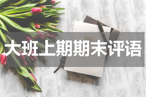 大班上期期末评语