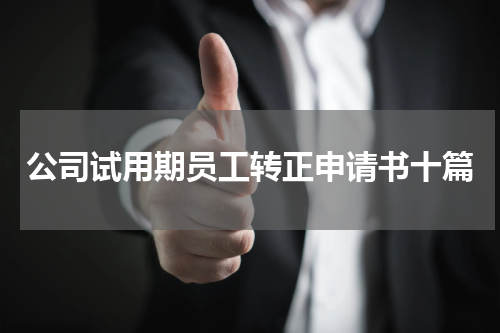 公司试用期员工转正申请书十篇
