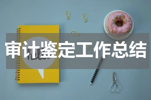 审计鉴定工作总结