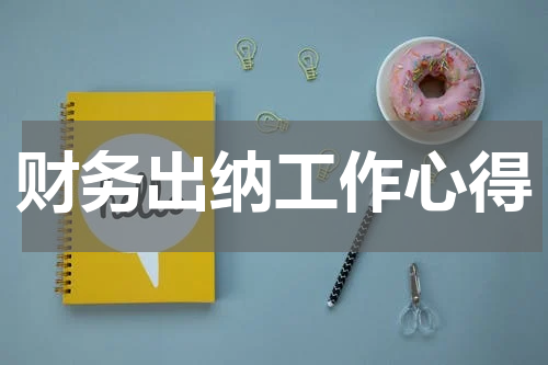 财务出纳工作心得