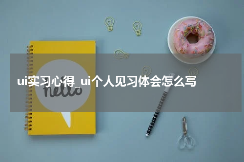 ui实习心得_ui个人见习体会怎么写
