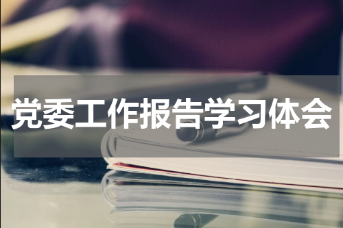 党委工作报告学习体会