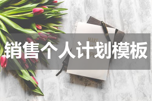 销售个人计划模板