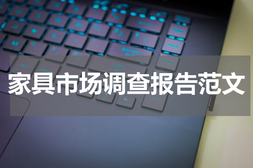 家具市场调查报告范文