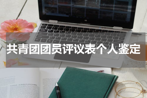 共青团团员评议表个人鉴定