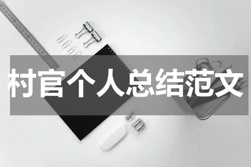 村官个人总结范文