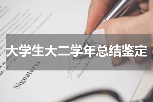 大学生大二学年总结鉴定