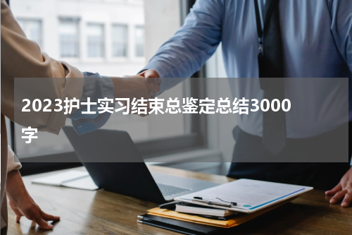 2023护士实习结束总鉴定总结3000字