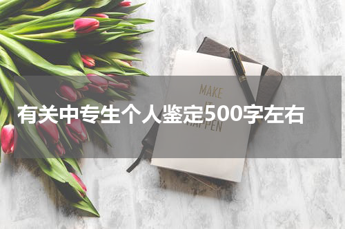有关中专生个人鉴定500字左右