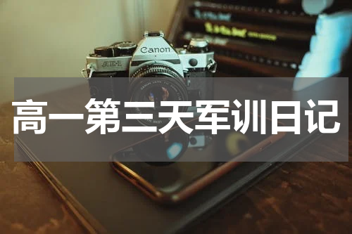 高一第三天军训日记