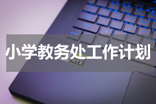 小学教务处工作计划