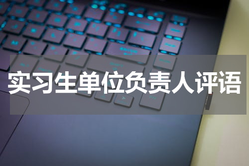 实习生单位负责人评语