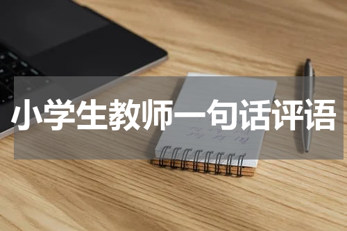 小学生教师一句话评语