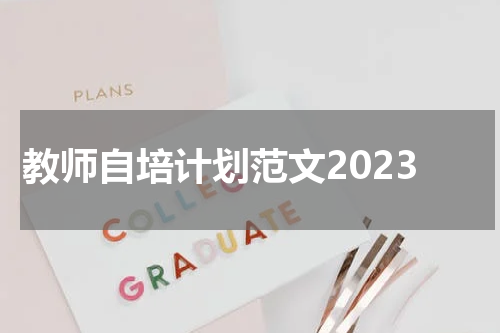 教师自培计划范文2023