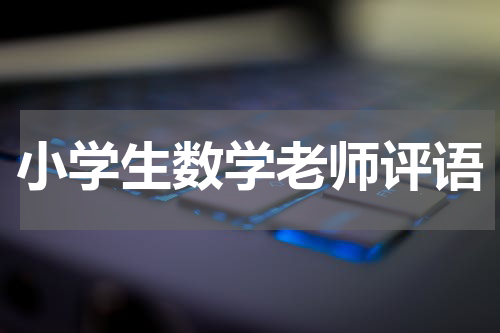 小学生数学老师评语