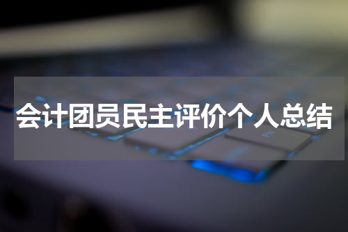 会计团员民主评价个人总结