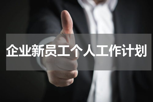 企业新员工个人工作计划