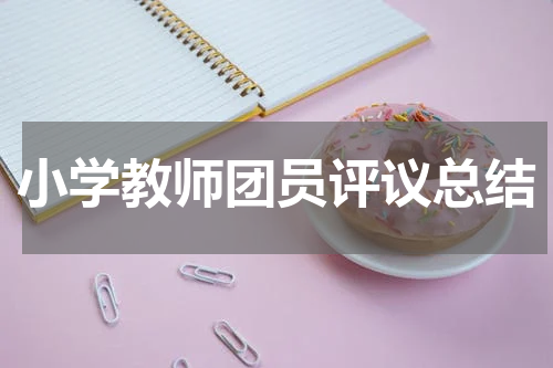 小学教师团员评议总结