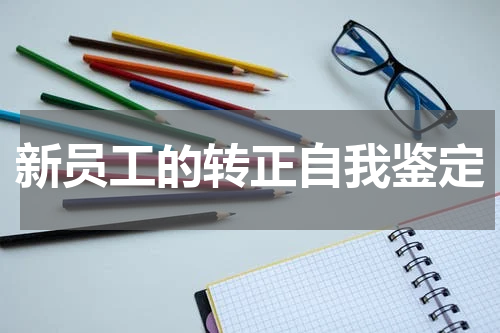新员工的转正自我鉴定