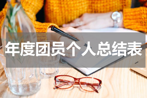 年度团员个人总结表