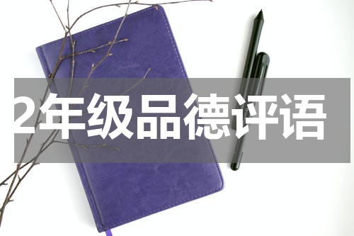 2年级品德评语