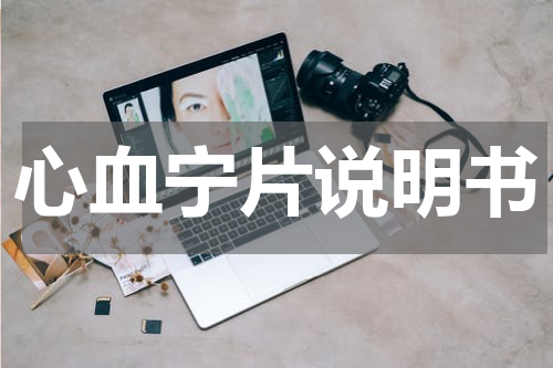 心血宁片说明书