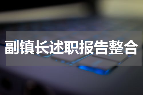 副镇长述职报告整合