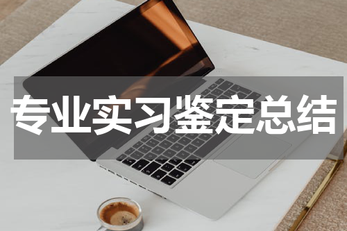 专业实习鉴定总结