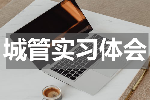 城管实习体会