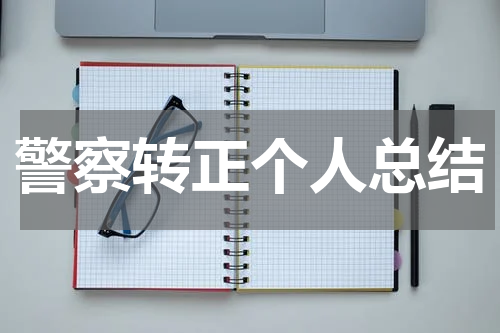 警察转正个人总结