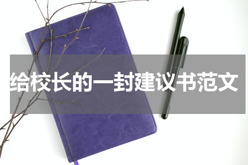 给校长的一封建议书范文