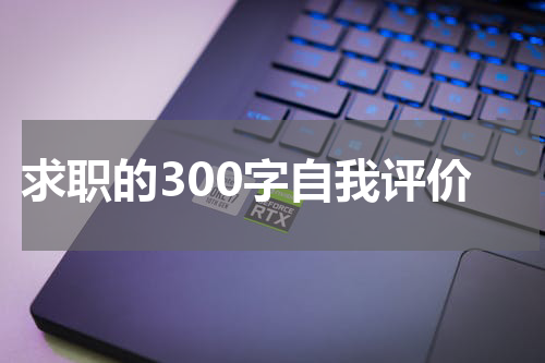 求职的300字自我评价