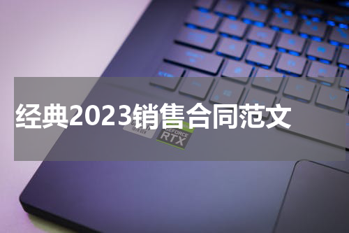 经典2023销售合同范文