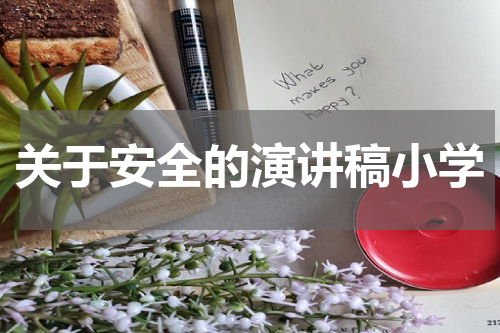 关于安全的演讲稿小学