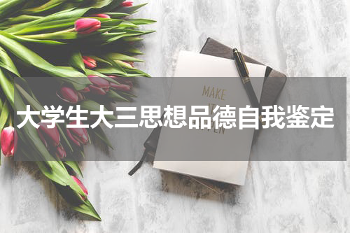 大学生大三思想品德自我鉴定